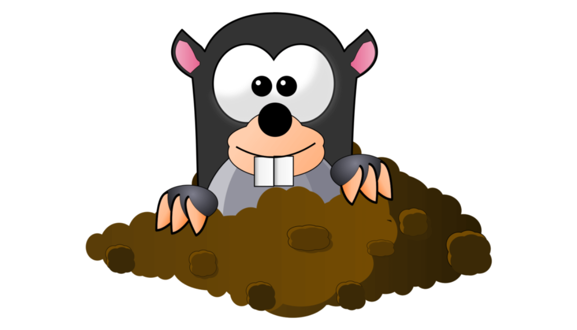 GBV Schreber Nordwinterhude