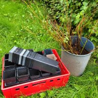 Miniaturansicht für das Anzeigenbild